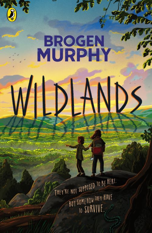 Cover image for this book