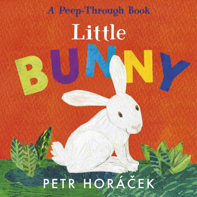 Little Bunny-9781529517354