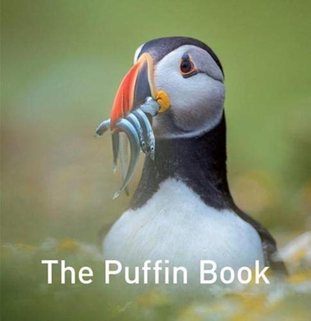 The Puffin Book-9781912654796