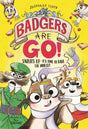 Cover image for this book