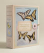The Butterflies of Titian Ramsay Peale Notecards-9781419718069