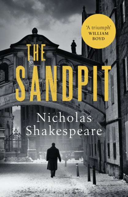 The Sandpit-9781529111842